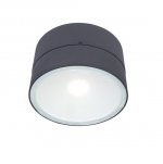 Светильник настенно-потолочный Oasis Light W6260L