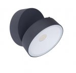 Светильник настенно-потолочный Oasis Light W6260L