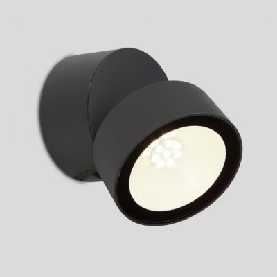 Светильник настенно-потолочный Oasis Light W6260 Светильник настенно-потолочный Oasis Light W6260