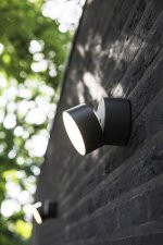 Светильник настенно-потолочный Oasis Light W6260