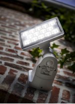 Прожектор настенный-потолочный с 1 поворотными модулями, датчиком движения/освещенности Oasis Light W6295