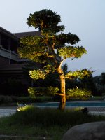 Прожектор ландшафтный на колышке Oasis Light W77169