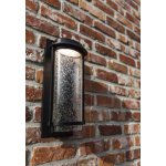 Светильник настенный Oasis Light W1859-3K Bl