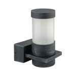 Светильник настенный Oasis Light W78023 V