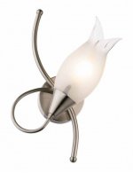 Светильник настенный бра Odeon light 1318/1W AMMANIA