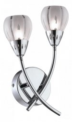 Светильник настенный бра Odeon light 1613/2W POSI