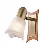 Светильник поворотный спот Odeon light 1968/1W ILSA