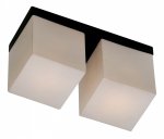 Светильник настенно-потолочный Odeon light 2043/2C CUBET