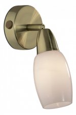 Светильник поворотный спот Odeon light 2067/1W OTTA