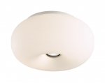 Светильник потолочный Odeon light 2205/2C PATI
