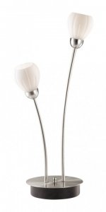 Настольная лампа Odeon light 2469/2T AKRON