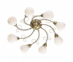 Люстра Odeon light 2470/8C DOVERA