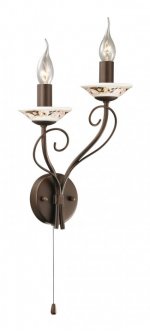 Светильник настенный бра Odeon light 2529/2W RIVA