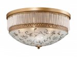 Люстра Odeon light 2552/7 SURI