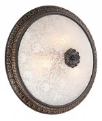 Потолочный светильник Odeon light 2587/3C Maipa