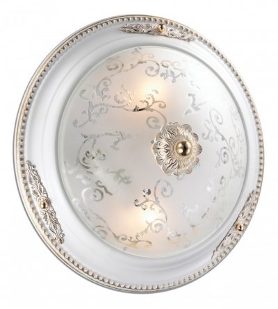 

Светильник потолочный Odeon light 2670/2C, 2670/2C