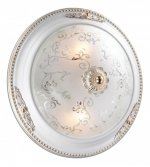 Настенно - потолочный светильник Odeon light 2670/2C CORBEA