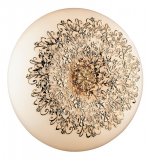 Светильник настенно-потолочный Odeon light 2677/6C Palmira