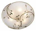 Светильник настенно-потолочный Odeon light 2728/6C REGANA