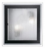 Светильник настенно-потолочный Odeon light 2736/2W ULEN