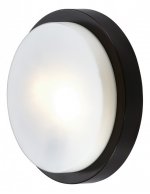 Настенно - потолочный светильник Odeon light 2744/2C HOLGER