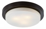 Настенно - потолочный светильник Odeon light 2744/3C HOLGER