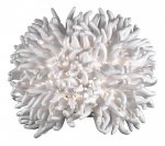 Светильник настенный бра Odeon light 2755/1W ESMA