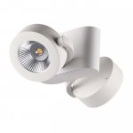 Потолочный светильник Odeon light 3493/20CL PUMAVI