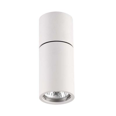 

Потолочный накладной светильник Odeon light 3582/1C DUETTA, 3582/1C