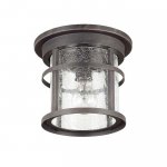 Уличный потолочный светильник Odeon light 4044/1C VIRTA