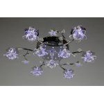 Светильник с пультом управления Omnilux OML-14907-09