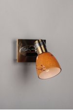 Спот Omnilux OML-22001-01 Malton