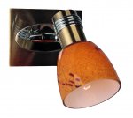 Спот Omnilux OML-22001-01 Malton