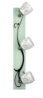 Спот Omnilux OML-22301-03 Marlo