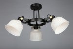 Люстра потолочная Omnilux OML-28207-03 Zamora