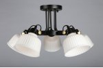 Люстра потолочная Omnilux OML-28207-05 Zamora