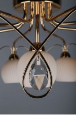 Люстра потолочная Omnilux OML-31907-09 Aunis