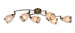 Люстра потолочная Omnilux OML-35127-06 Autunois