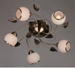 Люстра потолочная Omnilux OML-38107-05 Corsica