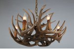 Люстра рога оленя Omnilux OML-52103-06