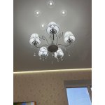 Люстра подвесная Omnilux OML-53213-05 Bantine