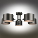 Люстра потолочная Omnilux OML-54507-05 Liser