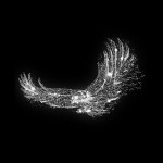 Светящееся панно «Орел» 25W 1500Lm