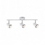 Светильник спот Paulmann 60401 Root