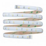 Paulmann 70317 FN YourLED Basiss. wws 4,8W ws KST