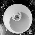 Плафон стекло матовый 120*90мм Е14 (37мм посадка) CL147 Лучиана