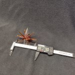 Плафон стекло звездочка коричневая 85мм G4  (12мм посадка) MW 2440129