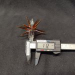 Плафон стекло звездочка коричневая 85мм G4  (12мм посадка) MW 2440129