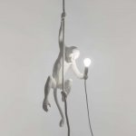 Подвесной светильник Monkey Lamp Outdoor Ceiling 14929 Seletti
