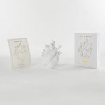 Ваза Love in Bloom Seletti 9920